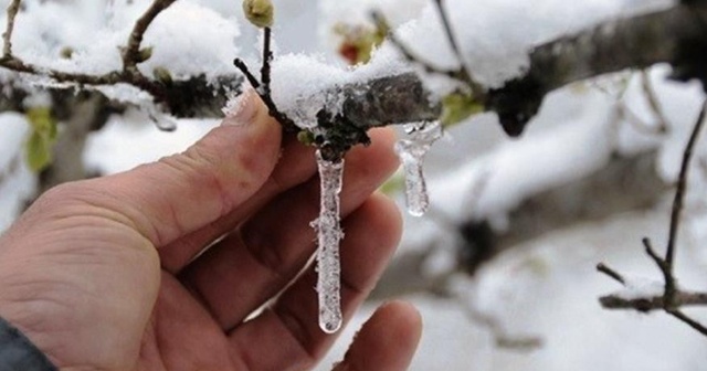 Meteoroloji’den Aydın’a &#039;zirai don&#039; uyarısı