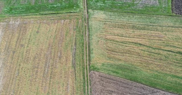 Meteorolojiden 4 ile zirai don uyarısı