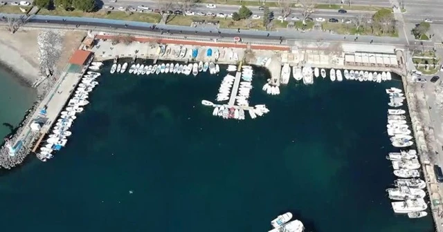 Marmara'da "salya" tehlikesi: 2 aydır geçit vermiyor