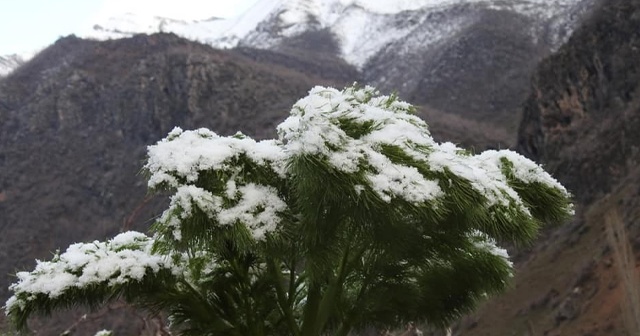 Şırnak&#039;ta iki mevsim bir arada yaşanıyor