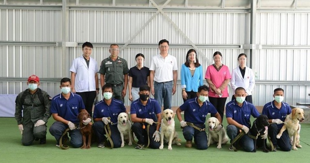 Taylandlı bilim insanları 6 köpeği Kovid-19 testi için eğitti