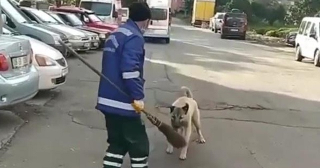 Temizlik görevlisi ile süpürgesini çalan köpek arasındaki kovalamaca