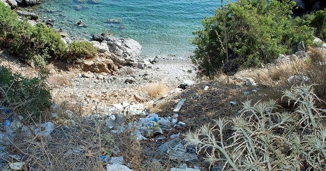 Vatandaş şikayet etti, bakanlık ceza kesti