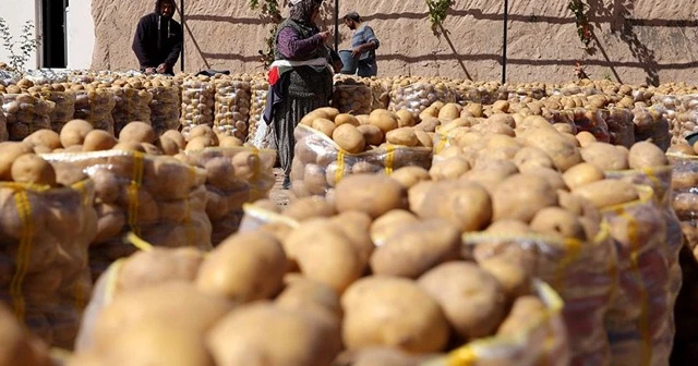 Çiftçinin elinde kalan yemeklik patates ve kuru soğan ücretsiz dağıtılacak