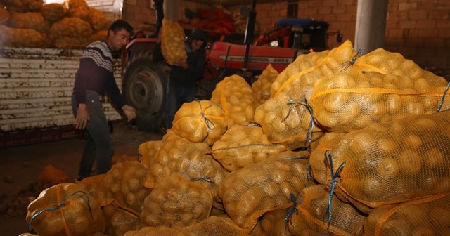Depoda kalan patates, ihtiyaç sahiplerine ulaştırılıyor
