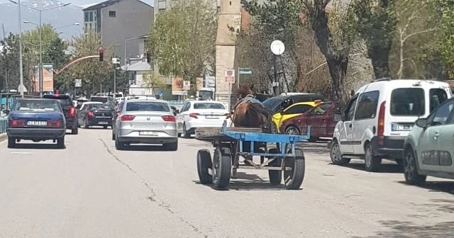 Dörtnala koşan at trafiği birbirine kattı