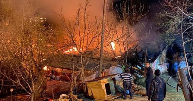 Giresun’da korkutan yangın