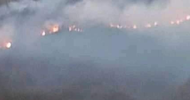 İzmir&#039;de orman yangını: 500 kestane ve meşe ağacı yandı