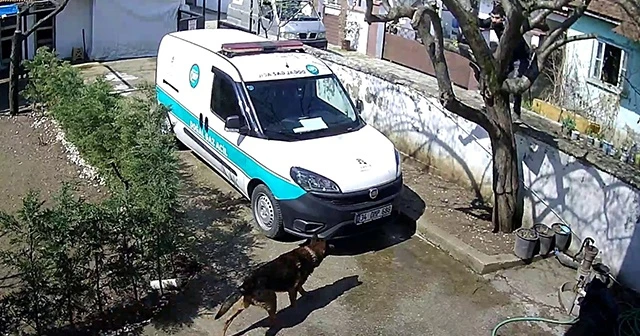 Kargoyu fırlatan kuryeyi köpek affetmedi