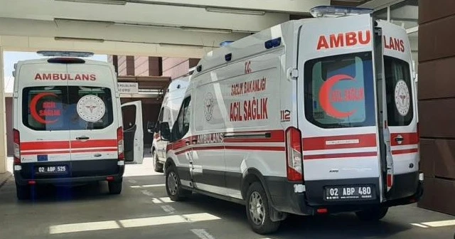 Nefes borusuna çilek kaçan çocuk hayatını kaybetti