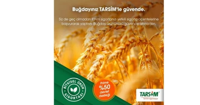 TARSİM: &#039;Buğday ürününüz güvende&#039;