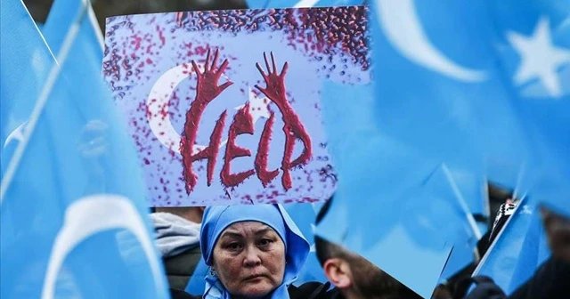 Uluslararası Af Örgütü