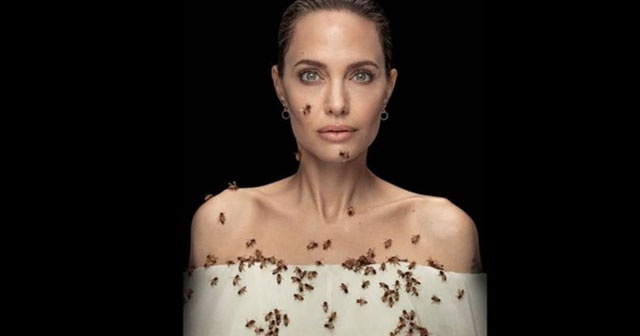 Angelina Jolie arılarla poz verdi