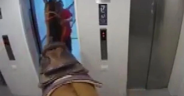 Atını asansörle yukarı çıkarmaya çalıştı