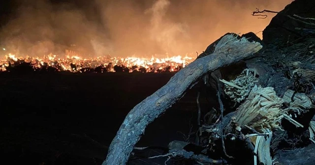 Biyokütle yakıtlı enerji santralindeki yangın 80 bin metrekarelik alanda sürüyor