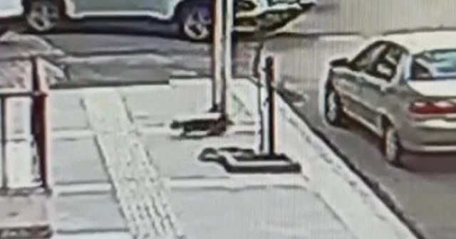 Dördüncü kattan dört ayak üstüne düştü