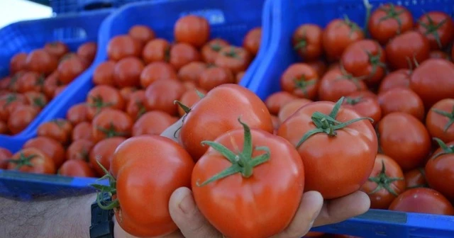 Fiyatı en fazla artan ve düşen ürünler belli oldu