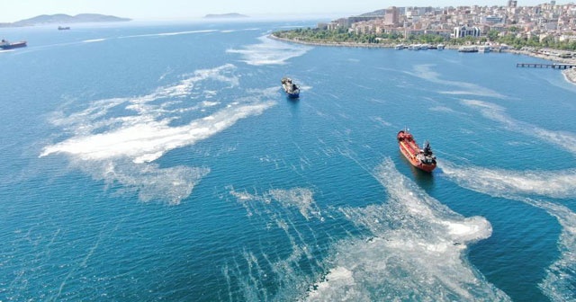 İstanbul sahillerinde deniz salyalarında yoğunluk arttı