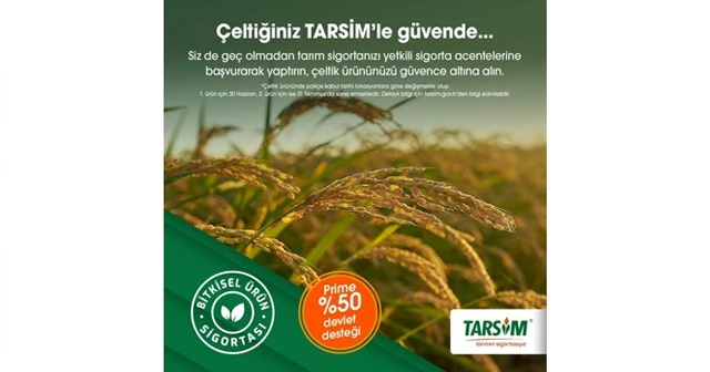 TARSİM: 'Çeltik ürününüz güvende'