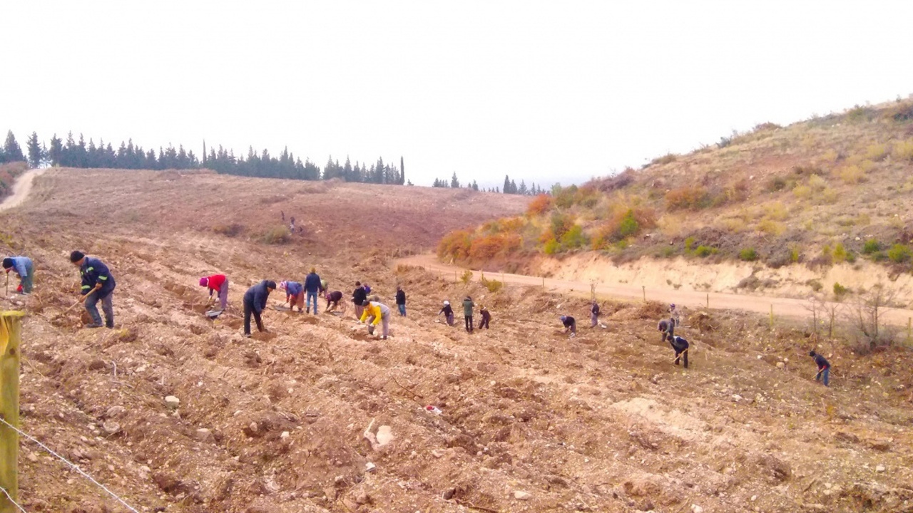 Aras Kargo&#039;dan fidan seferberliği