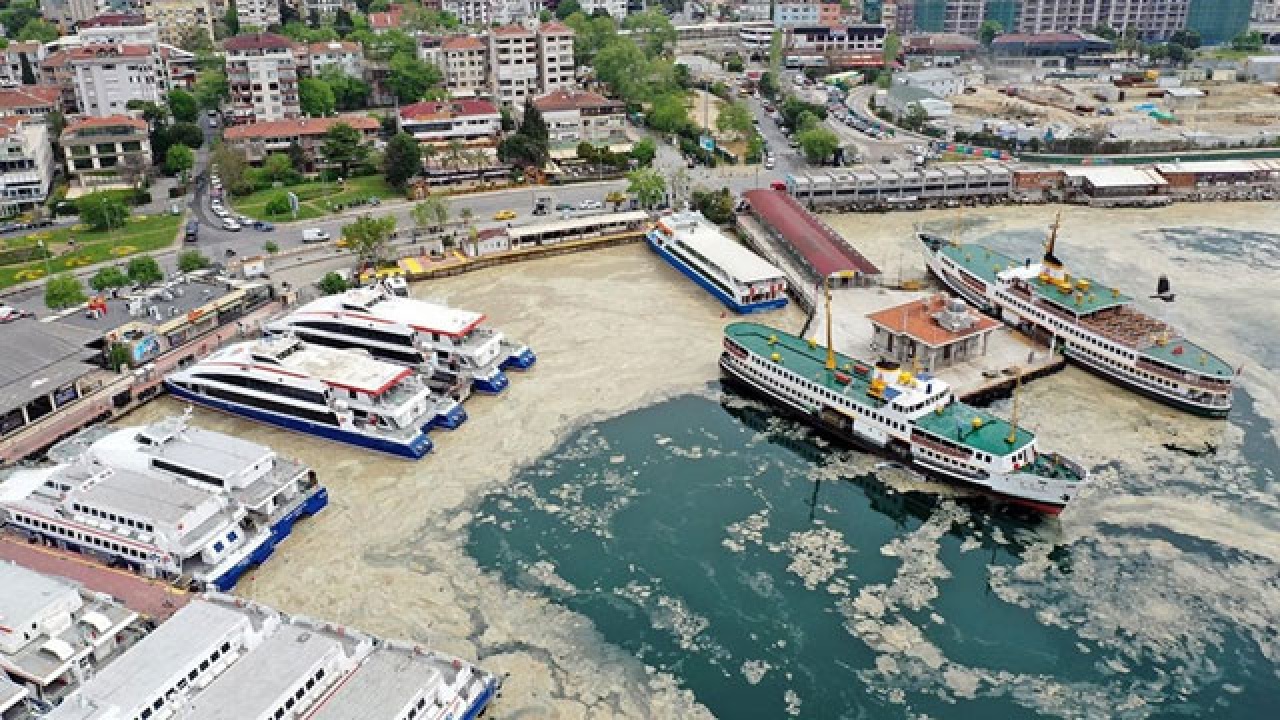 Bakan Kurum&#039;dan deniz salyası açıklaması: Eylem planımızı paylaşacağız