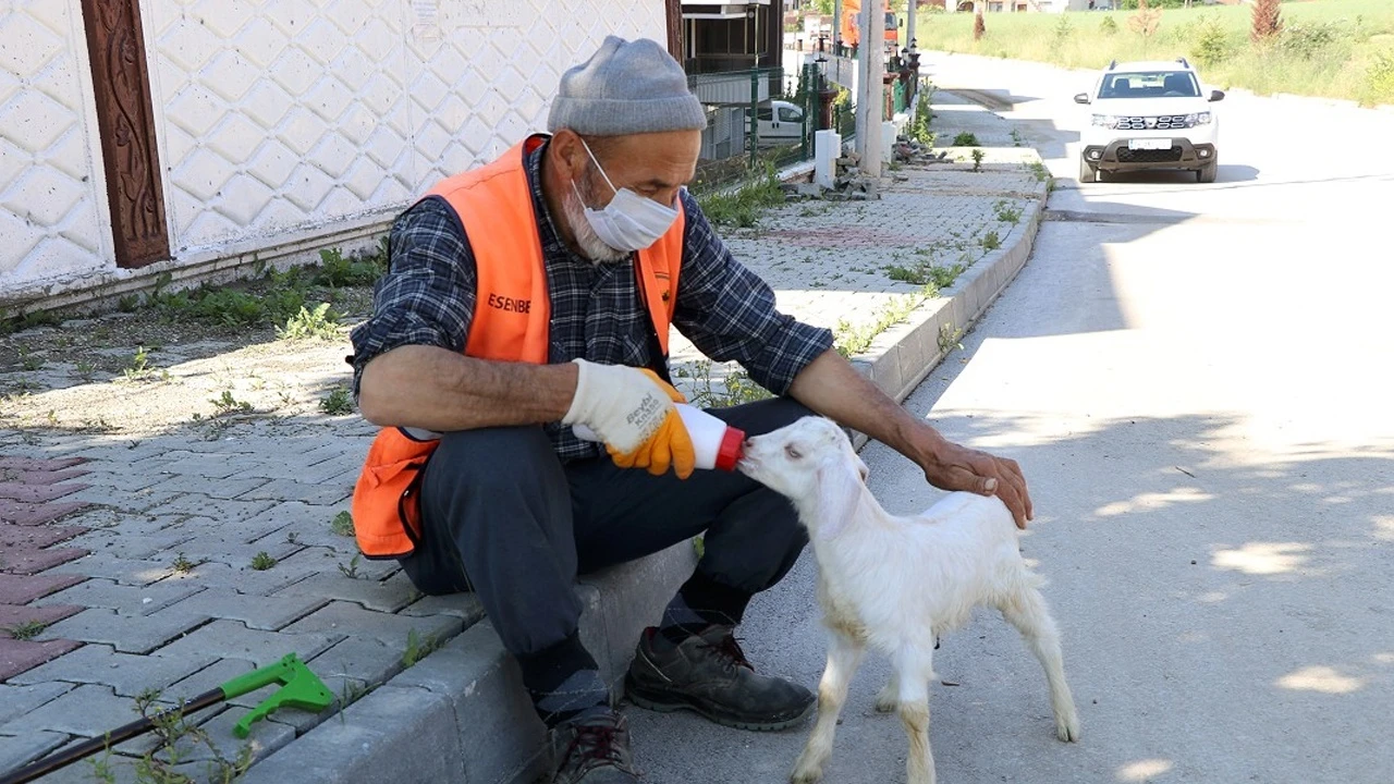 Bolu’da tebessüm ettiren görüntü: Oğlağıyla sokakları temizliyor