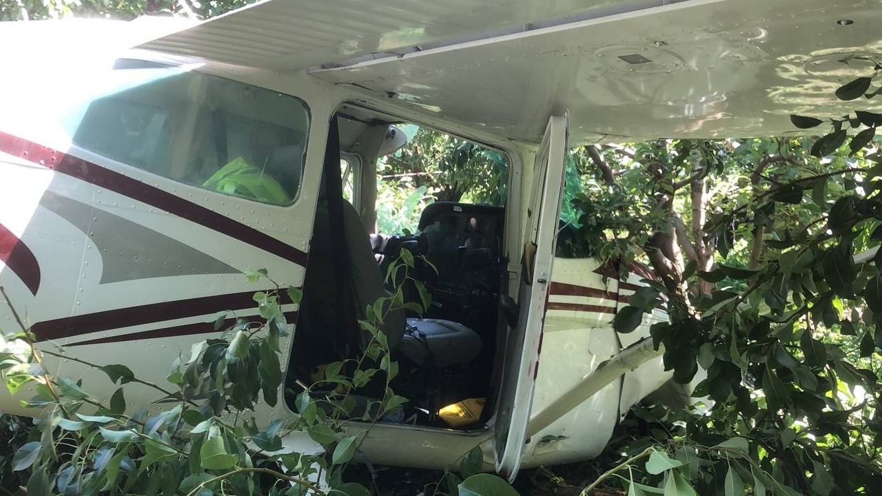 Bursa&#039;da uçak kazası! Meyve bahçesine indi...