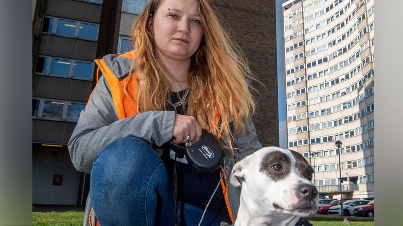 Hırsız boğazına bıçağı dayayınca köpeği hayatını kurtardı