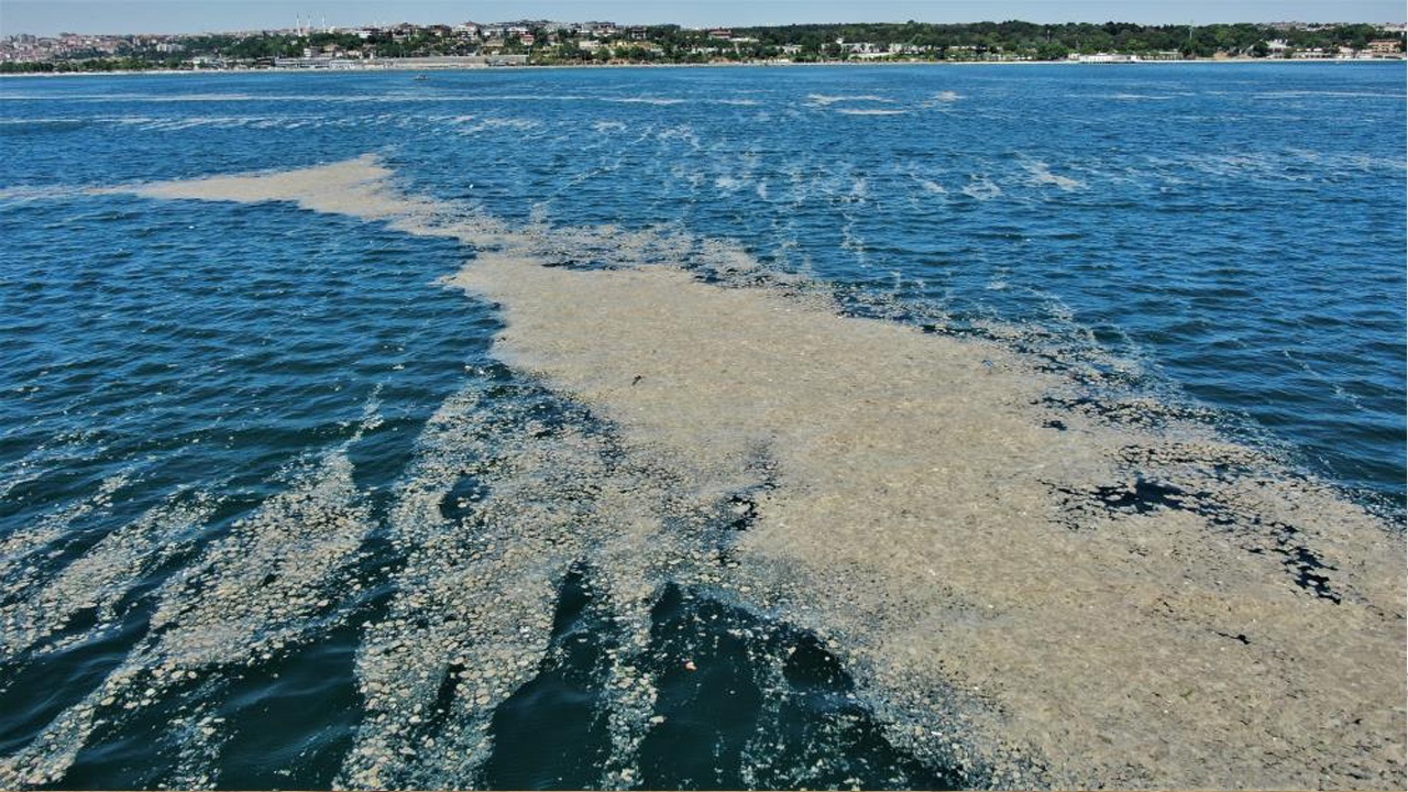 İstanbul&#039;da son durum: Kilometrelerce müsilaj böyle görüntülendi