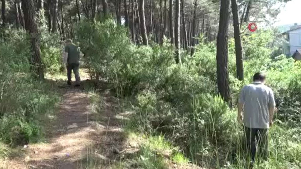 Kayıp genç ormanda asılı halde bulundu