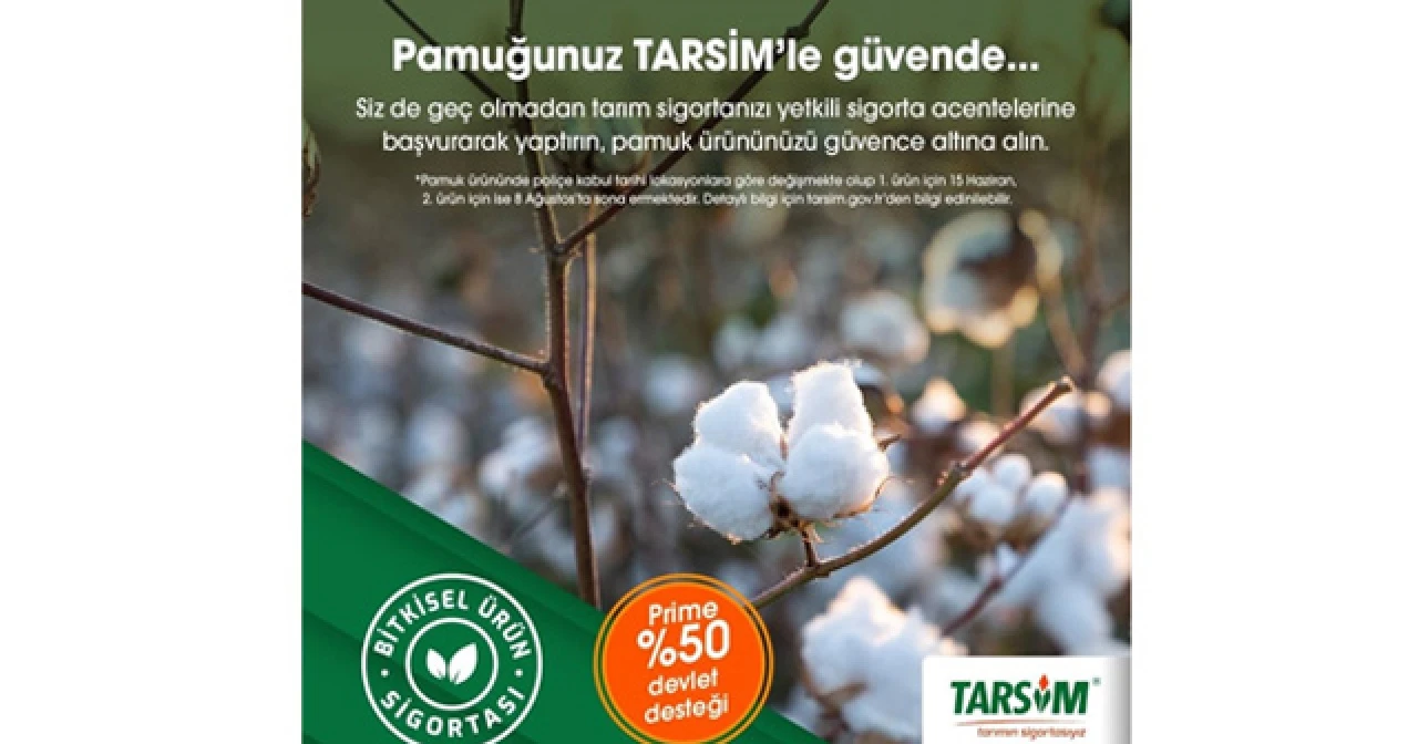 TARSİM: 'Pamuk ürününüz güvende'