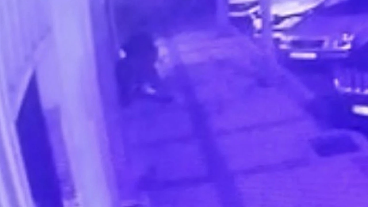 Turistleri bıçaklayan kağıt toplayıcısı hakim karşısında
