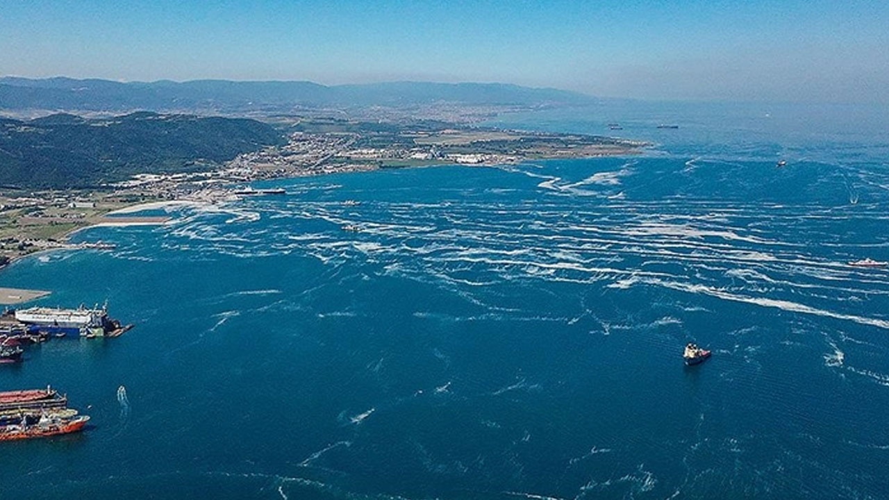 Türkiye&#039;de müsilaj seferberliği!  392 metreküp toplandı