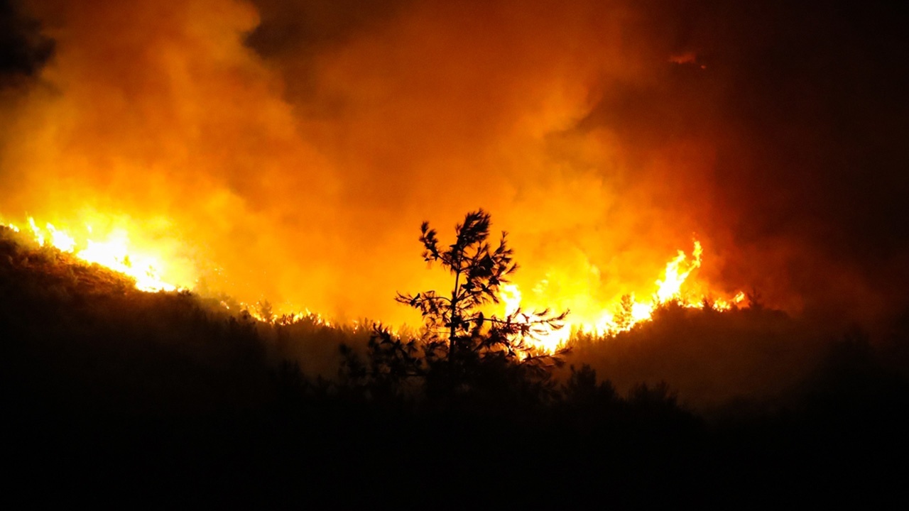 &#039;Yeşil vatan&#039; alevler içinde: Türkiye&#039;deki orman yangınlarında son durum