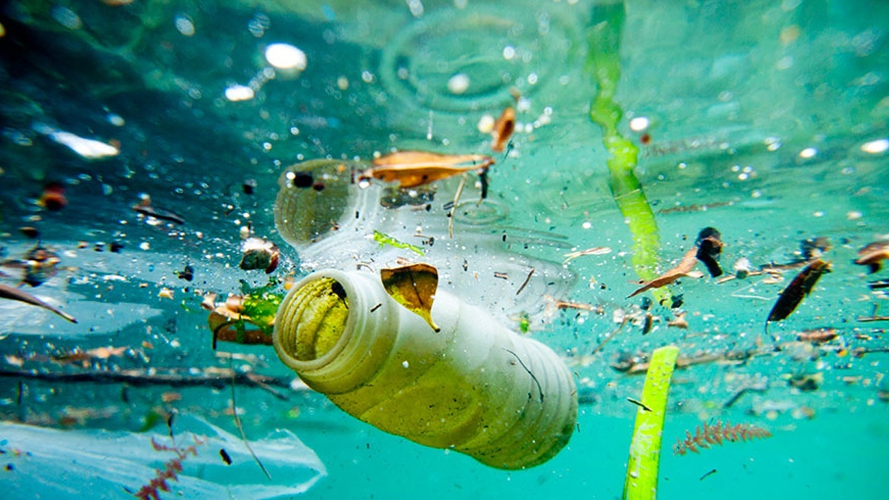 AB plastiğe savaş açtı! Yasak yürürlüğe girdi