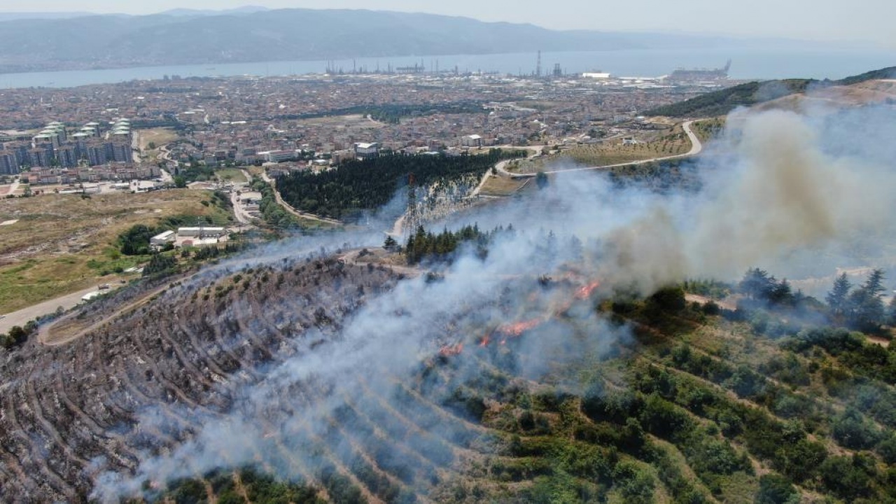 Bu da ayrı bir sorumsuz: Çevreyi temizlemek isterken ormanı yaktı