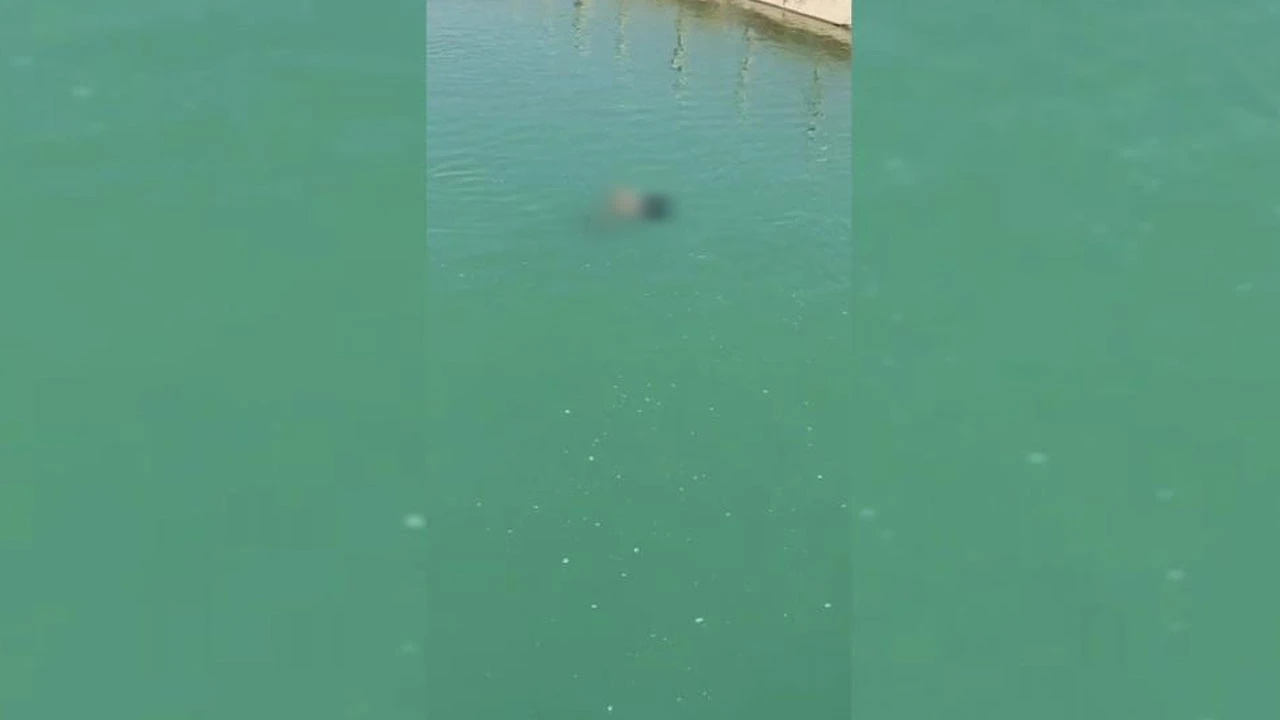 Cesedi sudan çıkarmaya çalıştılar