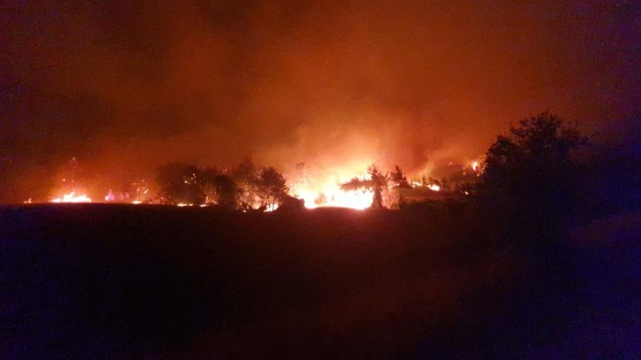 Ciğerlerimiz yanıyor: Osmaniye&#039;de köyler boşaltılıyor