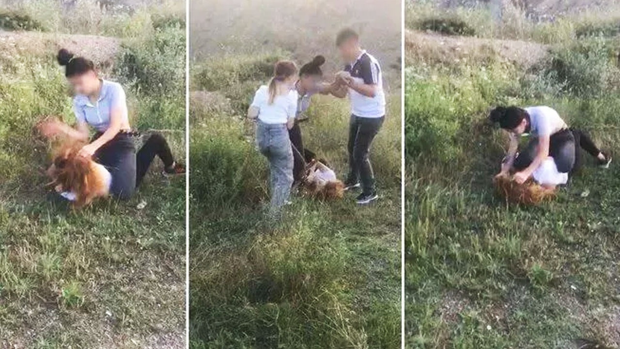 Elif Çakal’ın ölümünde şüphelilerin ifadesi ortaya çıktı: Uçurumdan atladı, elini tuttum ama...