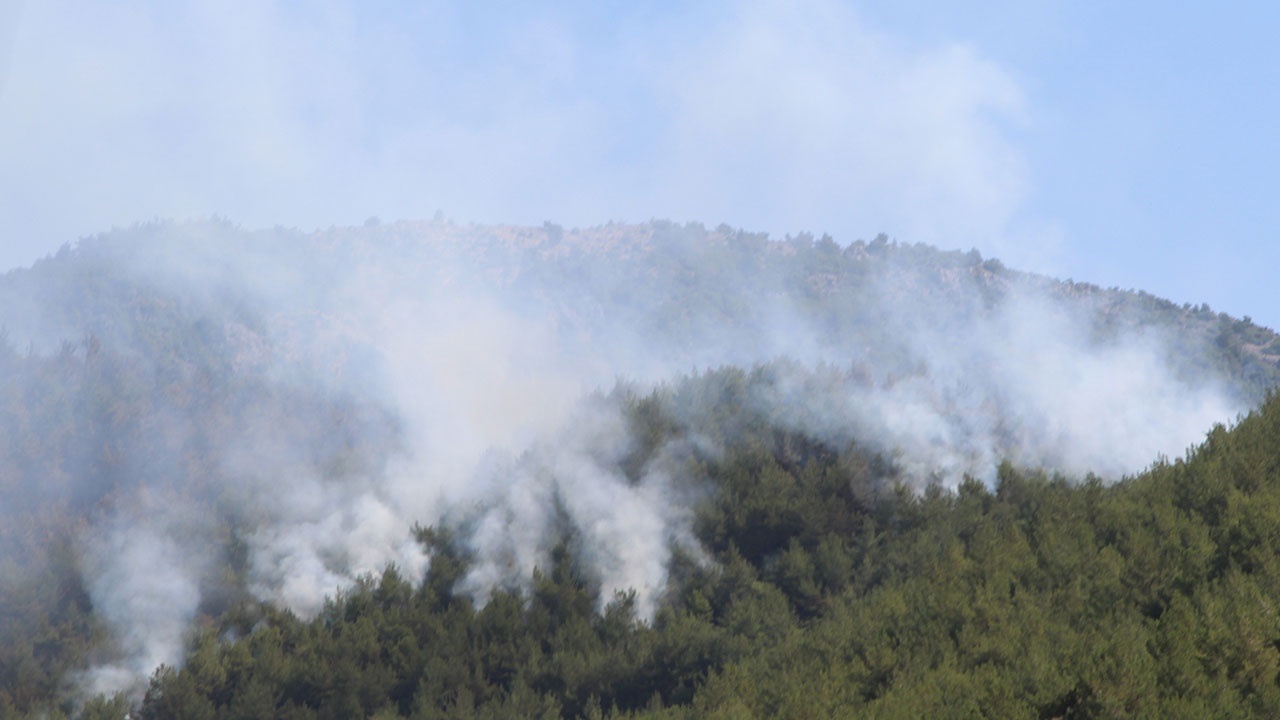 Hatay’da orman yangını: Havadan ve karadan müdahale