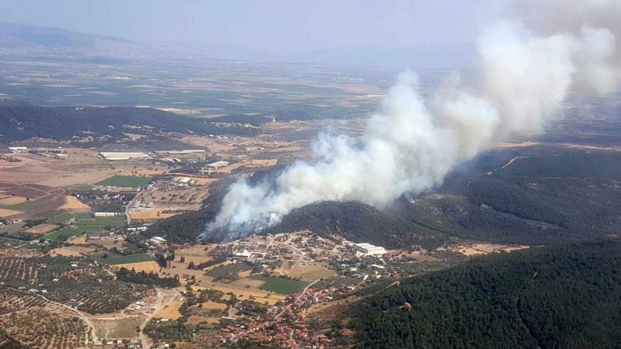 İzmir Foça&#039;da orman yangını