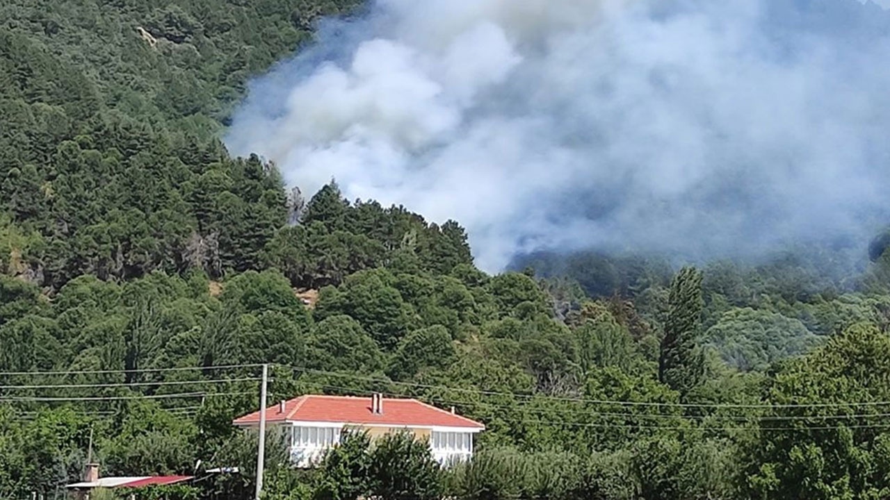 İzmir Ödemiş&#039;teki orman yangını kontrol altında