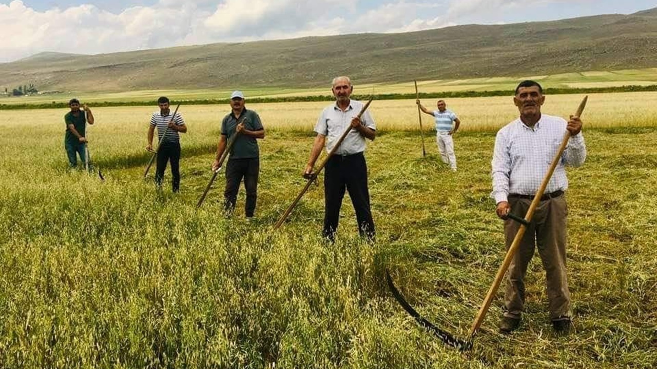 Kuraklık çiftçiyi eski aletlere yönlendirdi