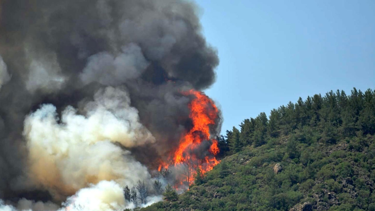 Marmaris&#039;teki yangın kamerada: Biri ormanı yakıyor