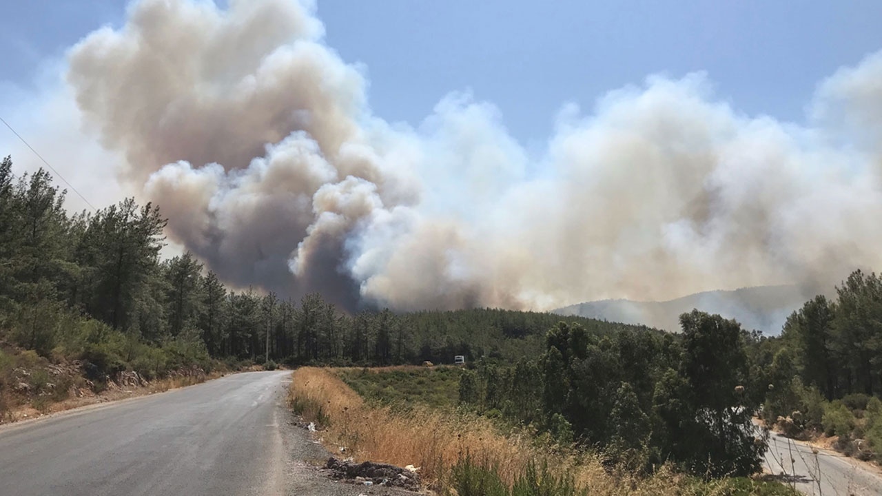 Milas’ta orman yangını: Çok sayıda ekip sevk edildi