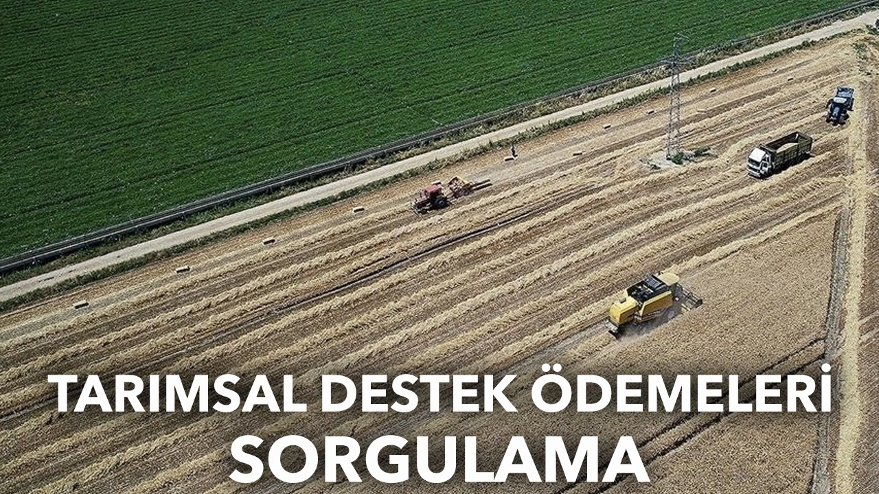 Tarımsal destek ödemeleri sorgulama: Tarımsal destek ödemeleri yattı mı?