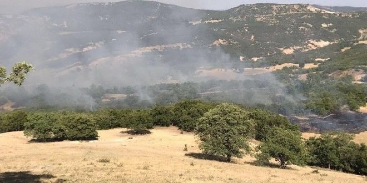 Tunceli Valiliğinden açıklama: Tunceli'deki yangını PKK çıkardı