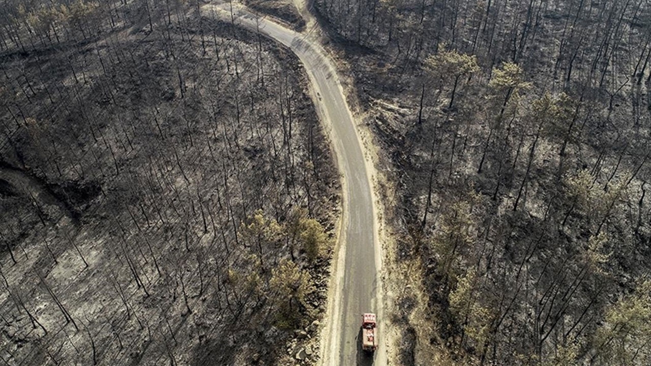 Yangın alanı afet bölgesi ilan edildi