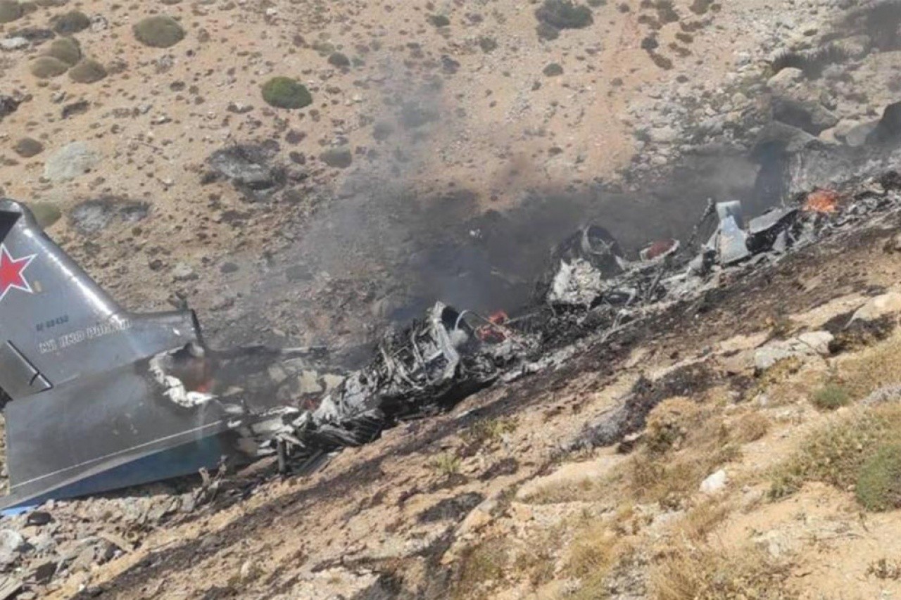 8 kişiye mezar olan uçakla ilgili flaş iddia: Düşmeden önce kuş sürüsüne çarptı