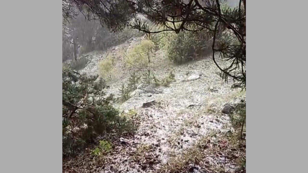 Ağustos ayında her yer beyaza büründü